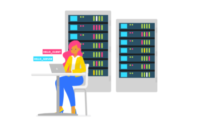 TLS Handshake: protocol and two-way authentication mechanism