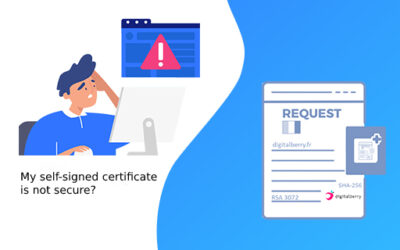 The risks of self-signed certificates